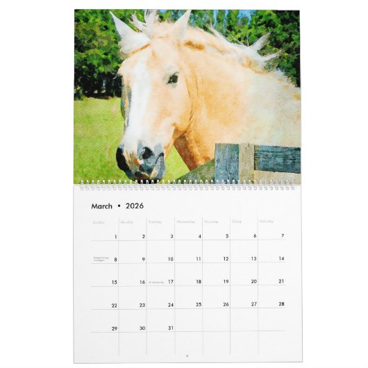 2026 Palomino Horses Ponies Owners Lovers Gift Kalender (Mär 2026)