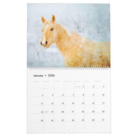 2026 Palomino Horses Ponies Owners Lovers Gift Kalender (Jan 2026)