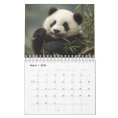 2026 Panda Calendar Kalender (Mär 2026)