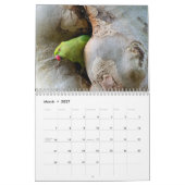 2026 Papageien-Kalender Kalender (Mär 2027)