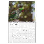 2026 Papageien-Kalender Kalender (Jan 2027)