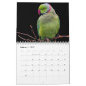 2026 Papageien-Kalender Kalender (Feb 2027)