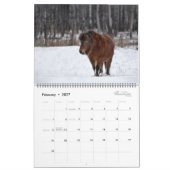2026 Pferdekalender Kalender (Feb 2027)