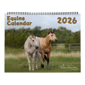 2026 Pferdekalender Kalender