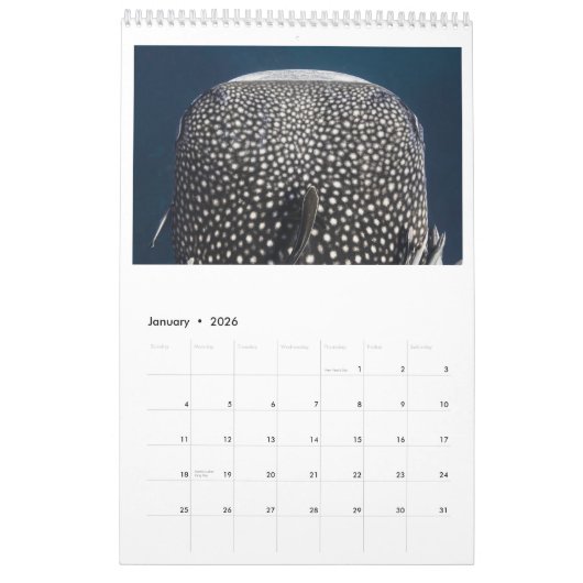 2026 Photo Calendar Kalender (Jan 2026)