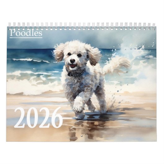 2026 Poodles Kalender (Titelbild)