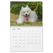 2026 Poppet und das Wolfpack Kalender (Mär 2027)