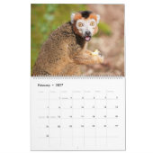 2026 Primate - Affen & Kleinaffen Kalender (Feb 2027)
