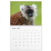 2026 Primate - Affen & Kleinaffen Kalender (Mär 2027)