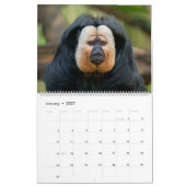 2026 Primate - Affen & Kleinaffen Kalender (Jan 2027)