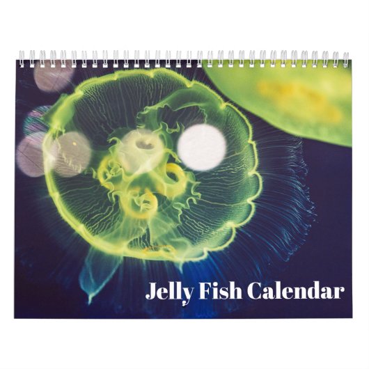 2026 Qualle-Kalender Kalender (Titelbild)