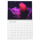 2026 Qualle-Kalender Kalender (Jan 2027)