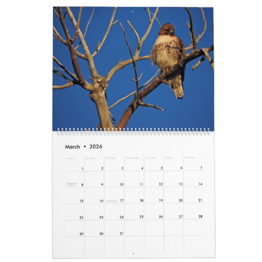 2026 Raptor Rapture Kalender (Mär 2026)