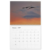2026 Raptor Rapture Kalender (Feb 2027)