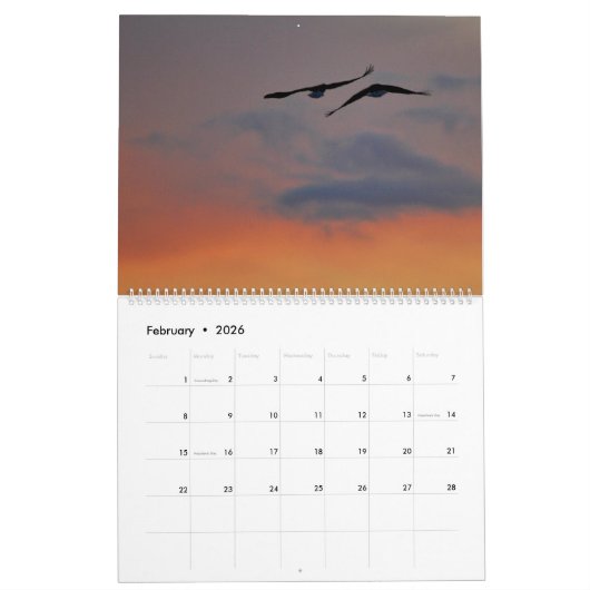 2026 Raptor Rapture Kalender (Feb 2026)