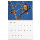 2026 Raptor Rapture Kalender (Mär 2027)