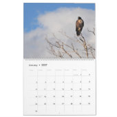 2026 Raptor Rapture Kalender (Jan 2027)