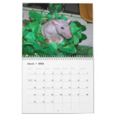 2026 RATS of the Rodent Reader Calendar B Kalender (Mär 2026)
