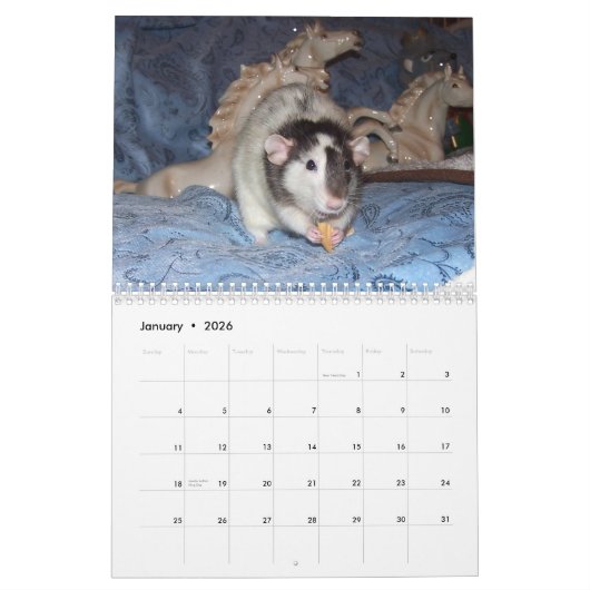 2026 RATS of the Rodent Reader Calendar B Kalender (Jan 2026)