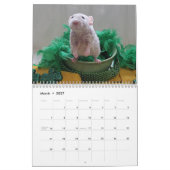 2026 Rats of The Rodent Reader Calendar G Kalender (Mär 2027)