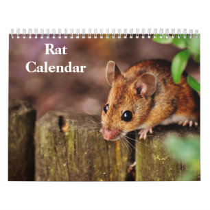 2026 Ratte Kalender