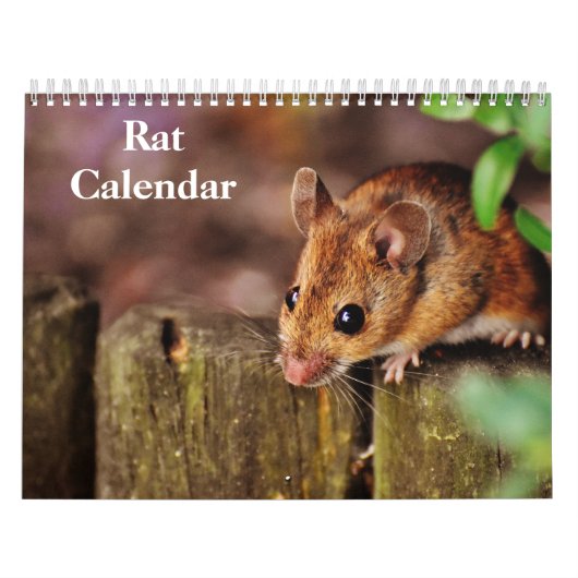 2026 Ratte Kalender (Titelbild)