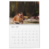 2026 Ratte Kalender (Mär 2027)