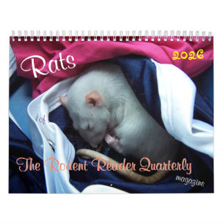 2026 Ratten des Rodent Reader Kalenders G Kalender