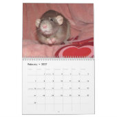 2026 RATTEN des Rodent Reader Kalenders I Kalender (Feb 2027)