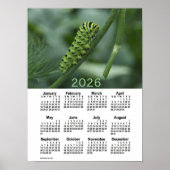 2026 Raupe Schlucken Schwanz von Janz Poster (Vorne)