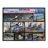 2026 Rfalconcam Calendar Kalender (Titelbild)