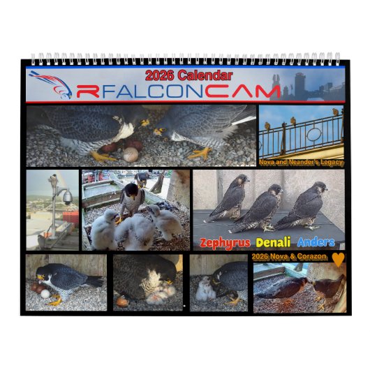 2026 Rfalconcam Calendar Kalender (Titelbild)