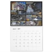 2026 Rfalconcam-Kalender Kalender (Mär 2027)