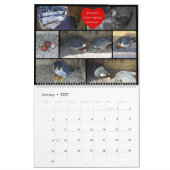 2026 Rfalconcam-Kalender Kalender (Jan 2027)