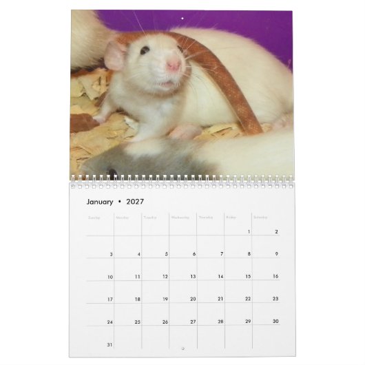 2026 Rodent Reader Calendar H Kalender (Jan 2027)