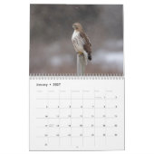 2026 Rot-Schwanz-Falken im Hudson-Tal Kalender (Jan 2027)