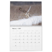 2026 Rot-Schwanz-Falken im Hudson-Tal Kalender (Feb 2027)