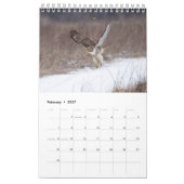 2026 Rotschwanzfalken Kalender (Feb 2027)