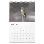 2026 Rotschwanzfalken Kalender (Jan 2027)
