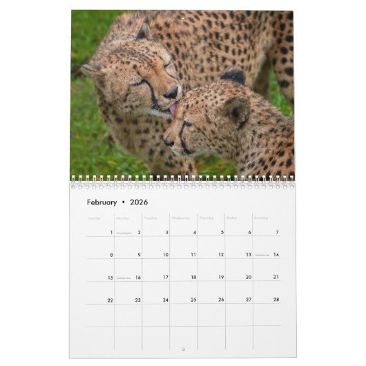 2026 Schnell und schön: Cheetah Collection Kalender (Feb 2026)