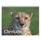 2026 Schnell und schön: Cheetah Collection Kalender (Titelbild)