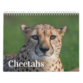 2026 Schnell und schön: Cheetah Collection Kalender