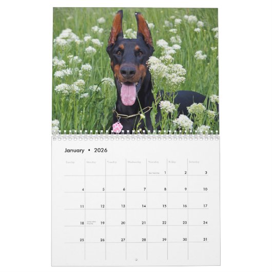 2026 Schöne Dobermans Kalender (Jan 2026)