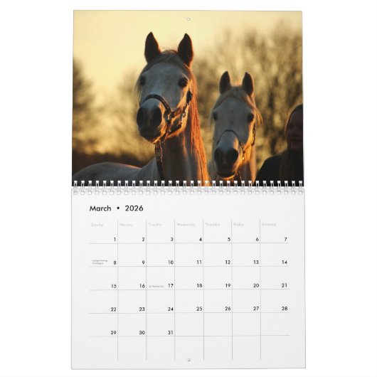 2026 Schöne Pferde Kalender (Mär 2026)