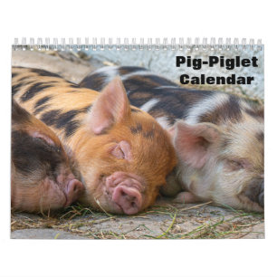 2026 Schwein-Ferkel-Kalender Kalender