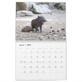 2026 Schwein-Ferkel-Kalender Kalender (Mär 2027)