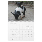 2026 Schwein-Ferkel-Kalender Kalender (Jan 2027)