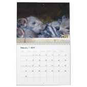 2026 Schwein-Ferkel-Kalender Kalender (Feb 2027)