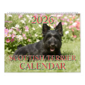 2026 SCOTTISH TERRIER CALENDAR KALENDER (Titelbild)