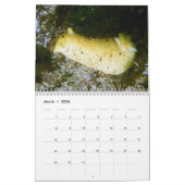 2026 SeaHorse Dive Club Photo Contest Calendar Kalender (Mär 2026)